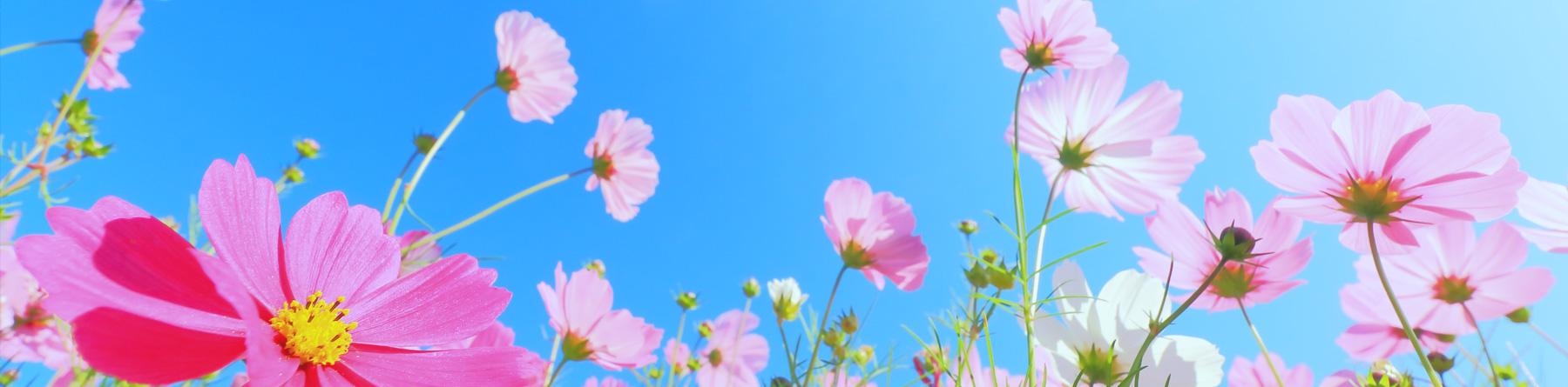 法人概要・関連医療機関・連携医療機関